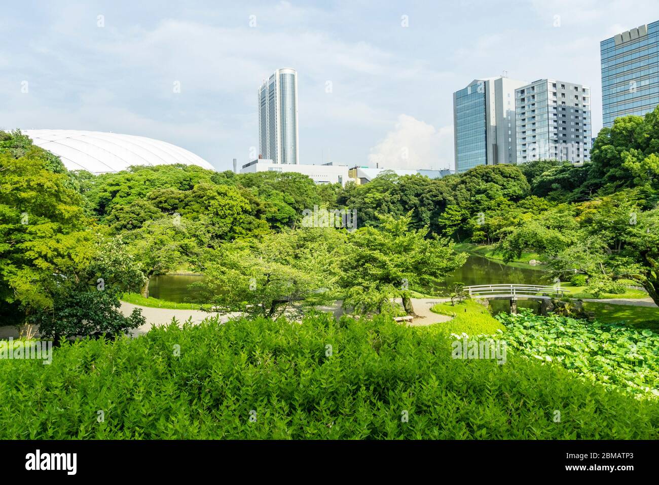 Green of Koishikawa Korakuen Gardens in Middle of Tokyo Stock Photo