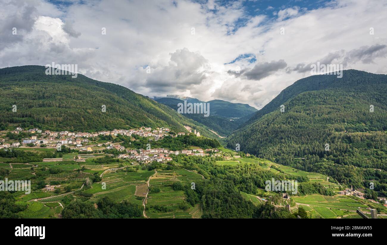 Cembra Valley landscape : vineyard surround the village of Cembra, Valle di Cembra, Trentino Alto Adige, northern Italy Stock Photo