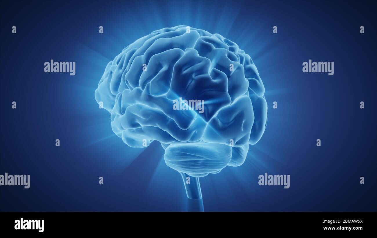 3d illustration human brain with convolutions and a radiance of light ...