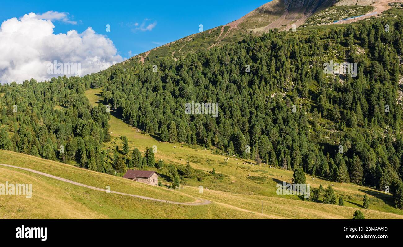 passo-lavaze-hi-res-stock-photography-and-images-alamy