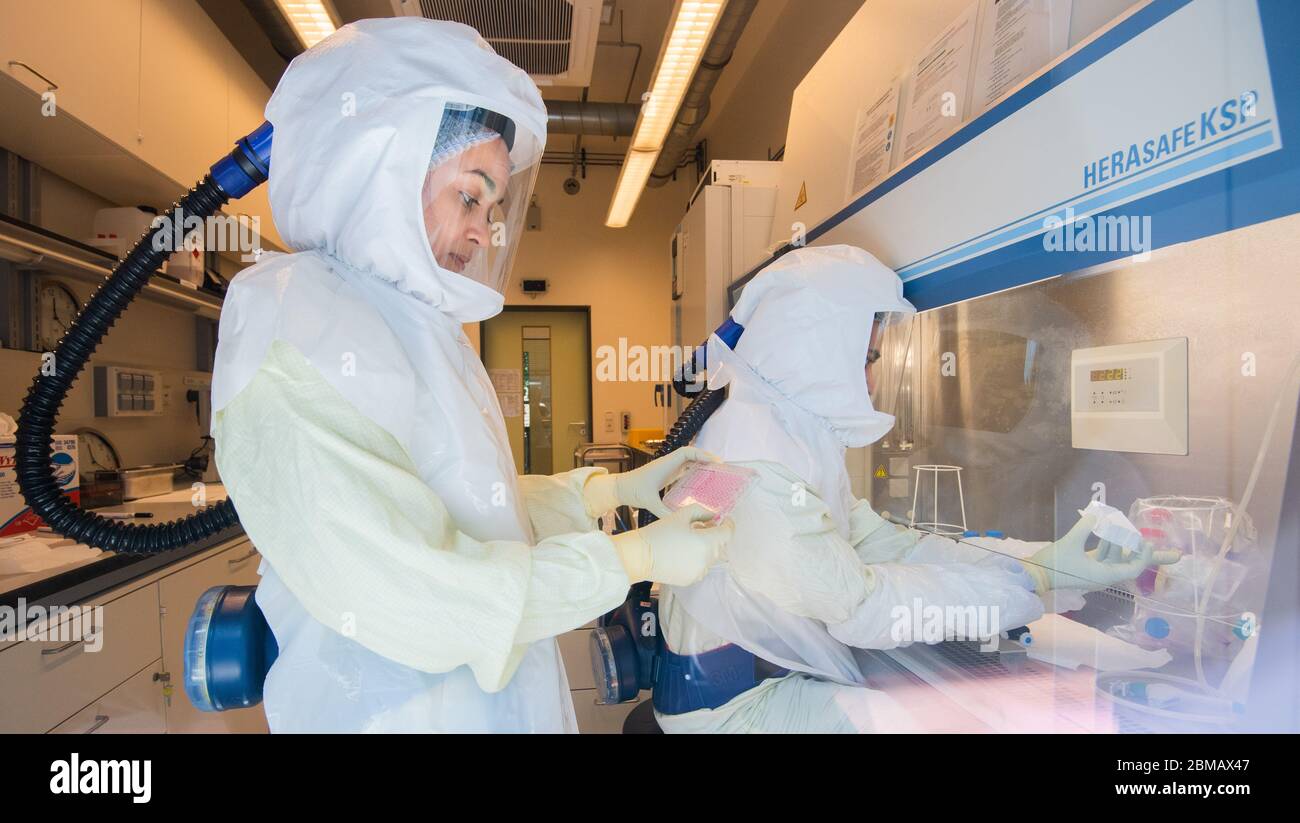 Biosafety level 3 laboratory hires stock photography and images Alamy