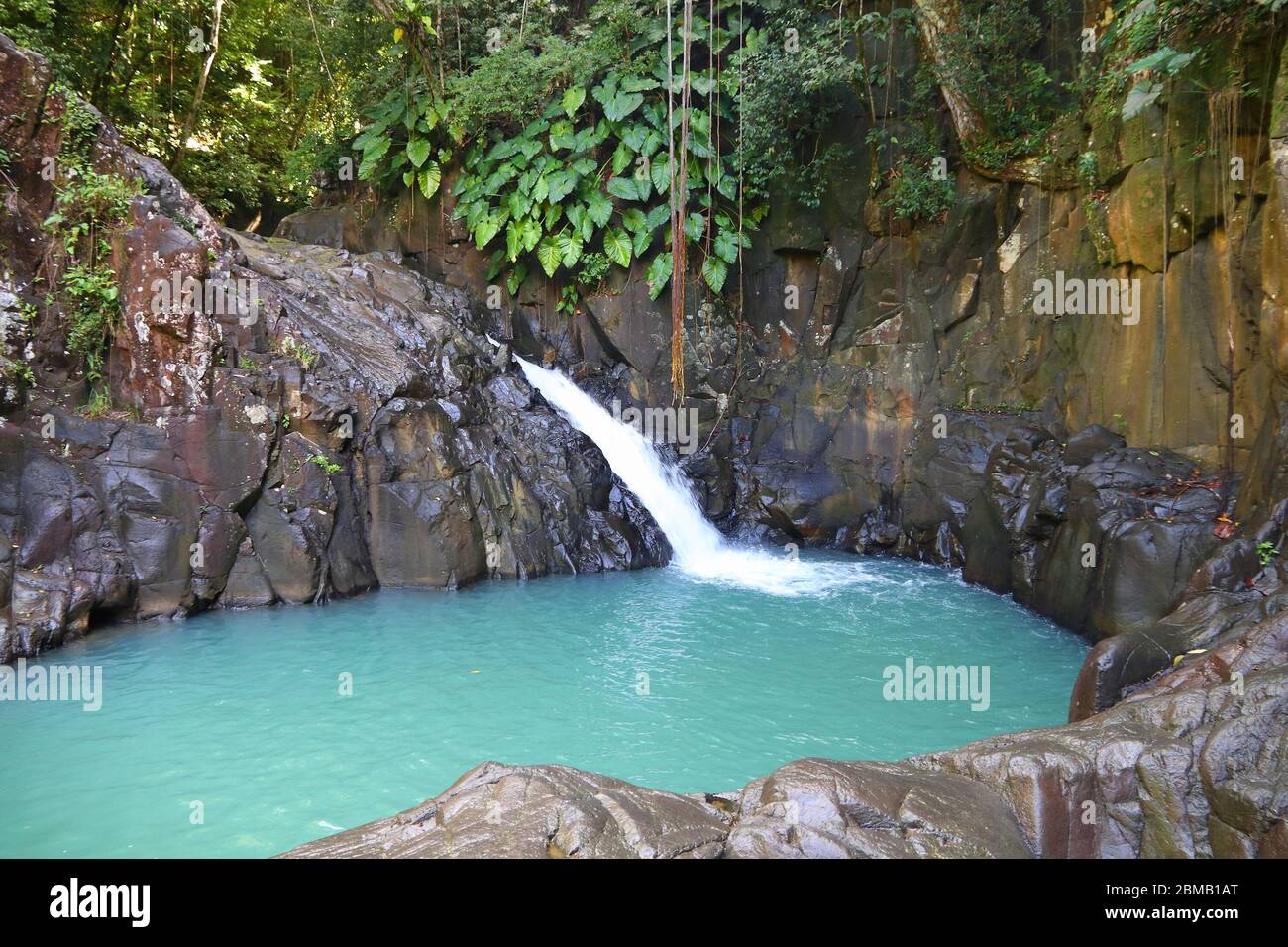 Waterfall in Guadeloupe Caribbean island. Cascade le Saut in the jungle Stock Photo Alamy