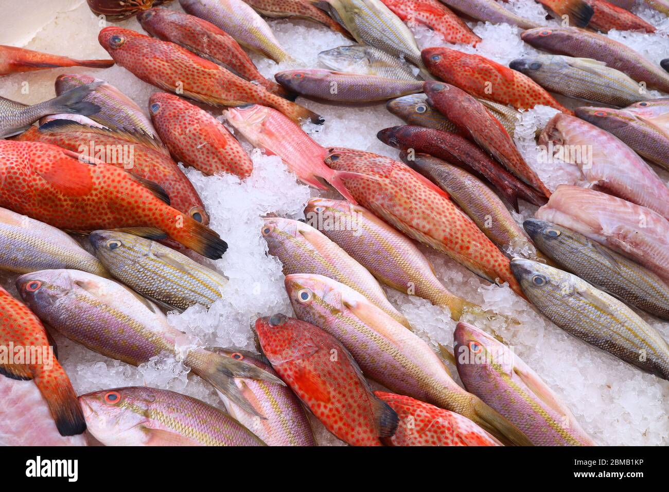 Guadeloupe fish market in Pointe a Pitre, biggest city of Guadeloupe