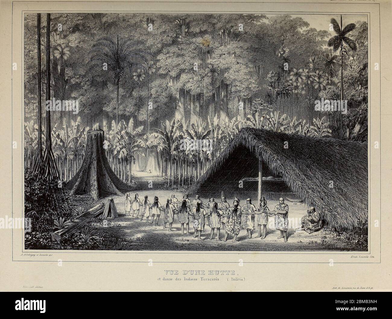 Indigenous People Brazil Hut High Resolution Stock Photography and Images -  Alamy