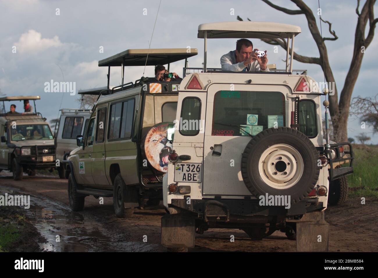 tourists in safari cars  game drive tour in African savanna Stock Photo