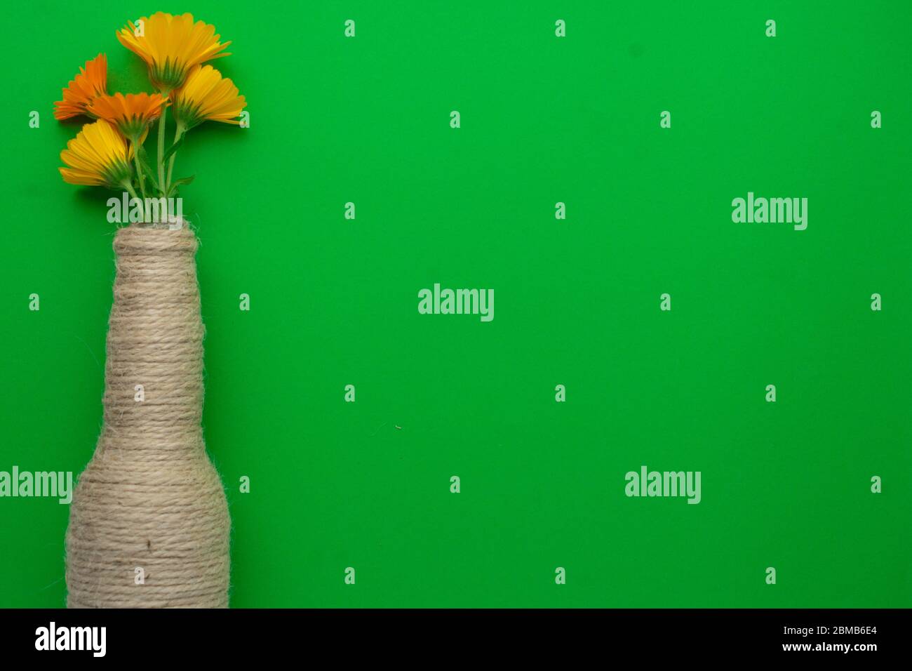 Glass bottle of beer reused with hemp yarn and flowers on the left with a green background. Recycling and reusable concept Stock Photo