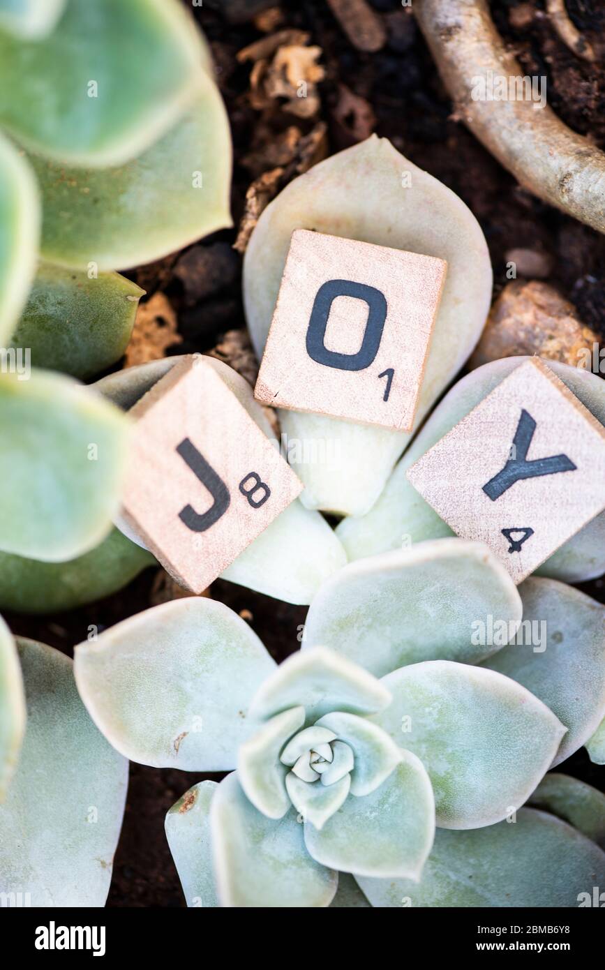 Joy in block letters Stock Photo