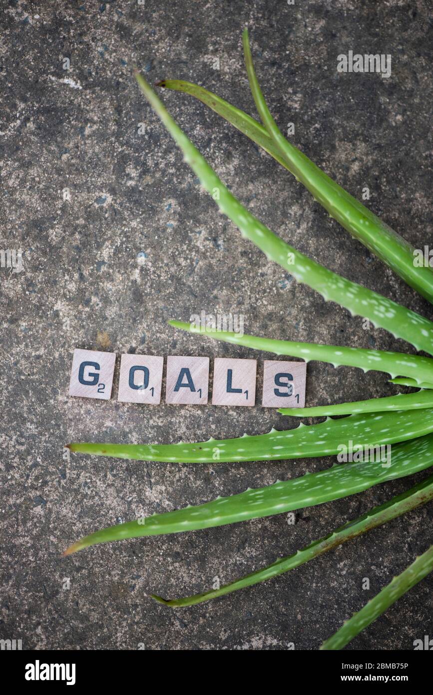 Goals in block letters Stock Photo