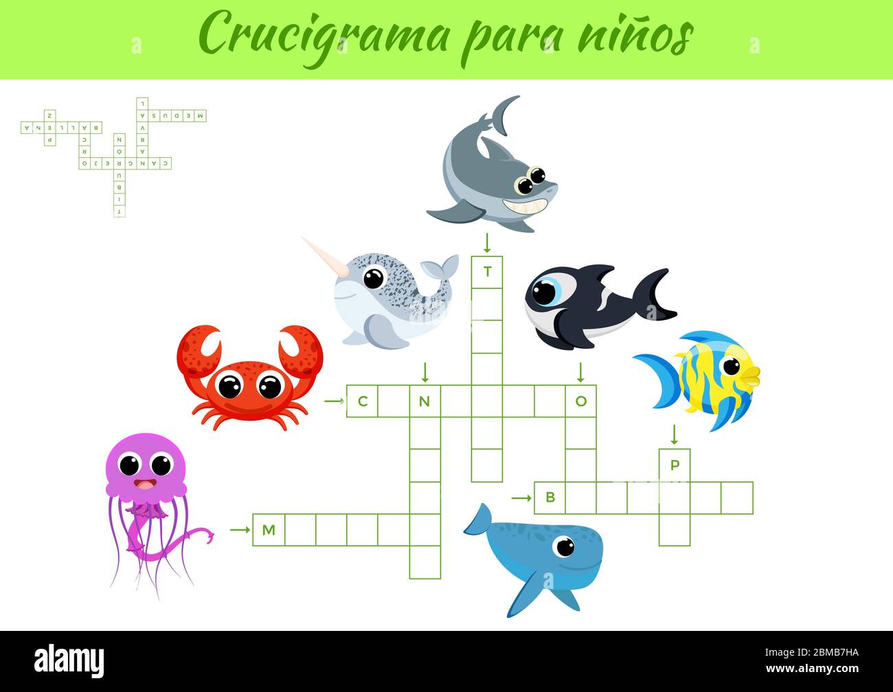 Crucigrama para niños - Crossword for kids with pictures. Activity worksheet colorful printable version. Educational game for study Spanish words. Stock Vector