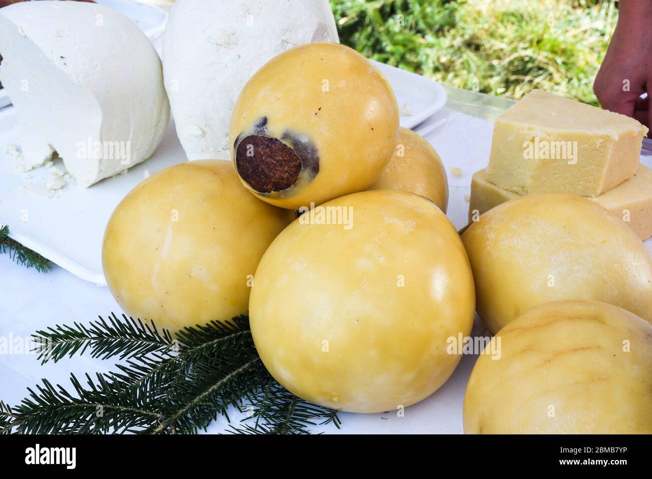 Branza de burduf, traditional sheep's milk cheese from south of Transilvania, Romanian specialty cheese, yellow round shape goat cheese balls homemade Stock Photo