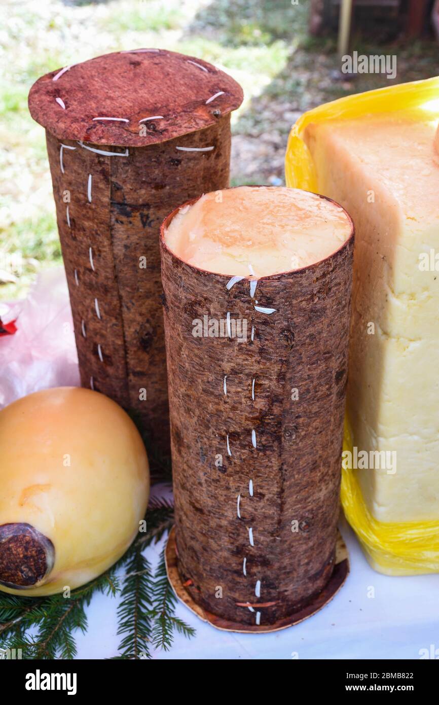 Branza de burduf, traditional sheep's milk cheese from south of Transilvania, Romanian specialty cheese, yellow round shape goat cheese balls homemade Stock Photo