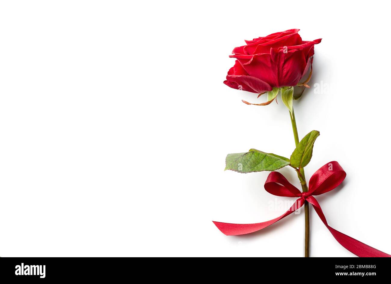 Red rose with ribbon isolated on white background. Top view Stock Photo ...