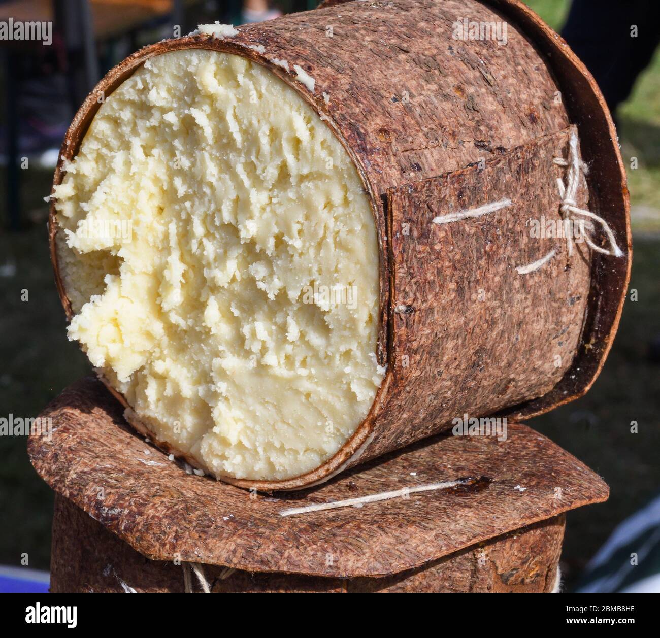 Branza de burduf, traditional sheep's milk cheese from south of Transilvania, Romanian specialty cheese, yellow round shape goat cheese balls homemade Stock Photo