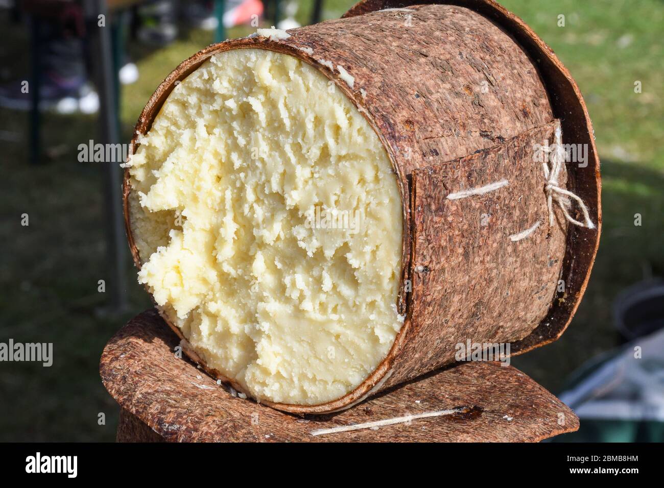 Branza de burduf, traditional sheep's milk cheese from south of Transilvania, Romanian specialty cheese, yellow round shape goat cheese balls homemade Stock Photo