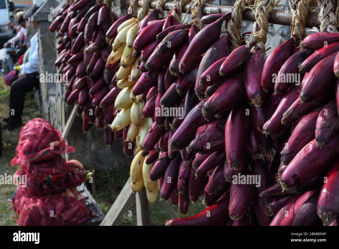 Red onion harvest, dried and braided for storage and for sale during country fair market, food festival. Strings of onion hanging in a street stall or Stock Photo