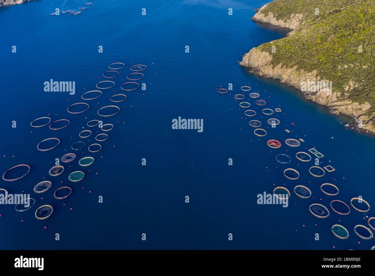 floating net cage for lobster and kerapu cultivation