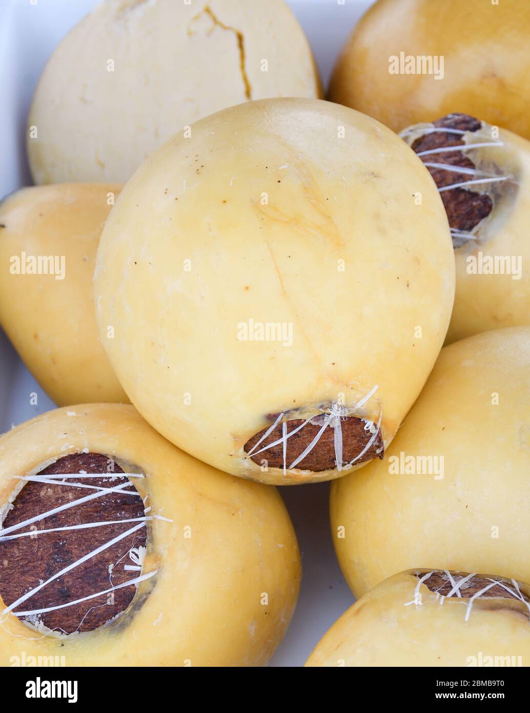 Branza de burduf, traditional sheep's milk cheese from south of Transilvania, Romanian specialty cheese, yellow round shape goat cheese balls homemade Stock Photo