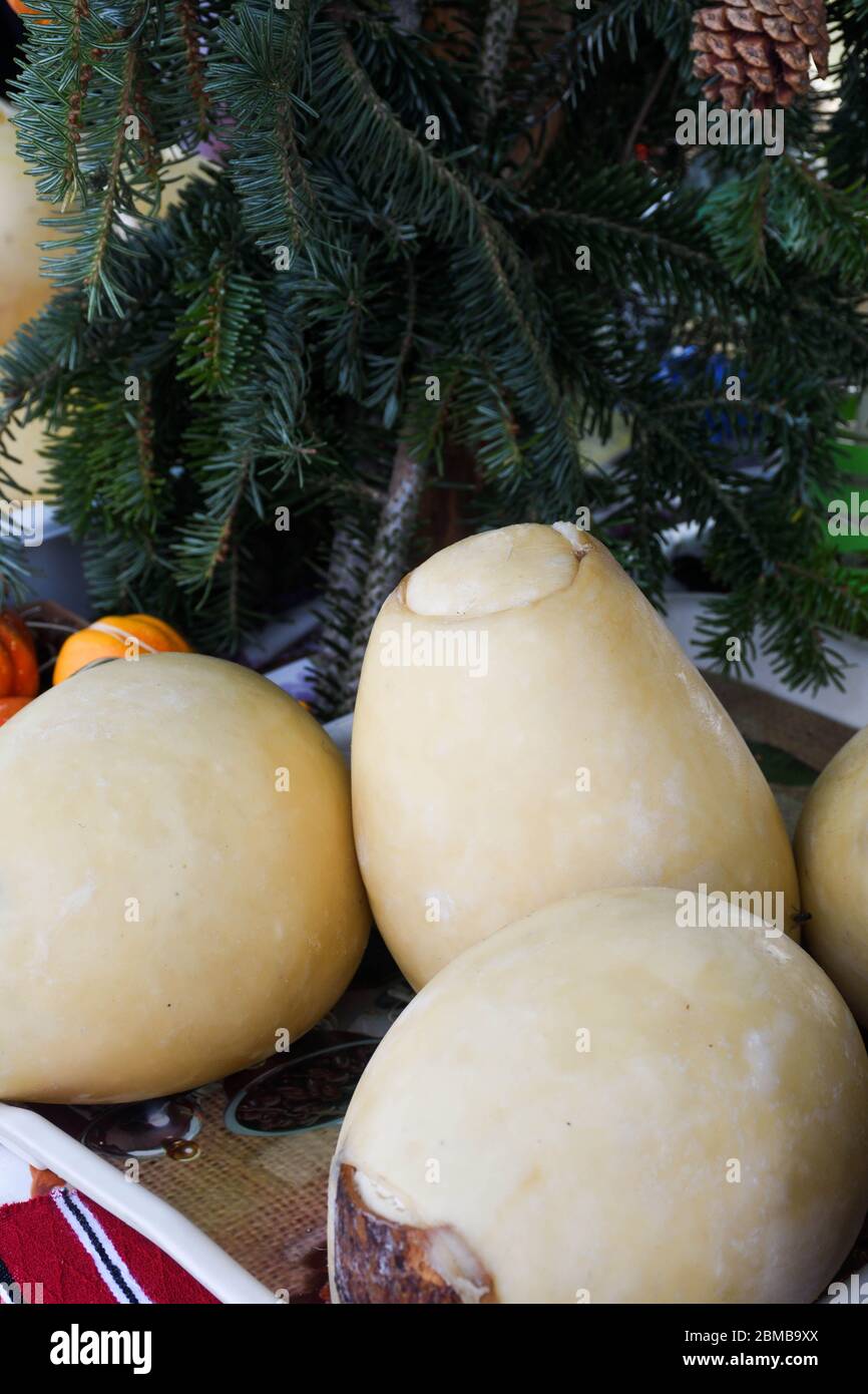 Branza de burduf, traditional sheep's milk cheese from south of Transilvania, Romanian specialty cheese, yellow round shape goat cheese balls homemade Stock Photo