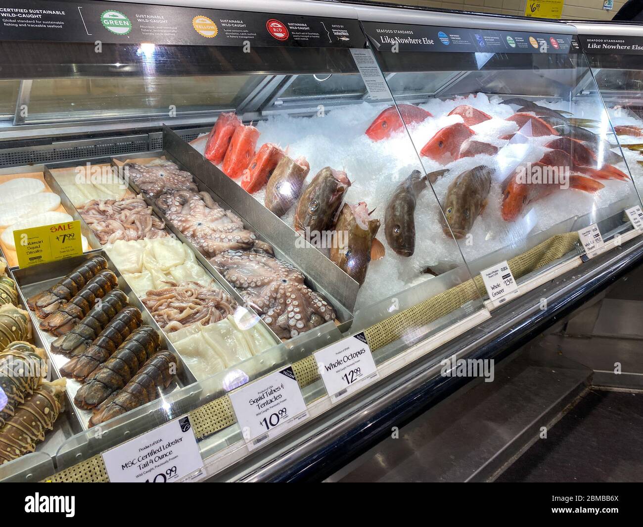https://c8.alamy.com/comp/2BMBB6X/orlandoflusa-5320-a-display-of-lobster-octopus-squid-and-fish-at-the-seafood-department-of-a-whole-foods-market-grocery-store-2BMBB6X.jpg