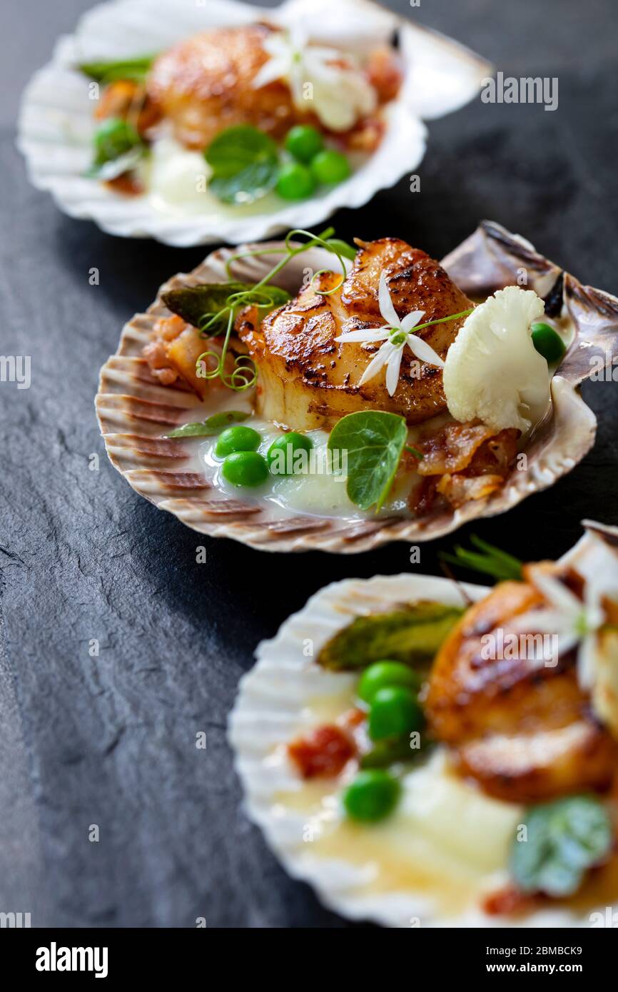 Scallops with cauliflower puree, pancetta, green peas and micro herbs Stock Photo