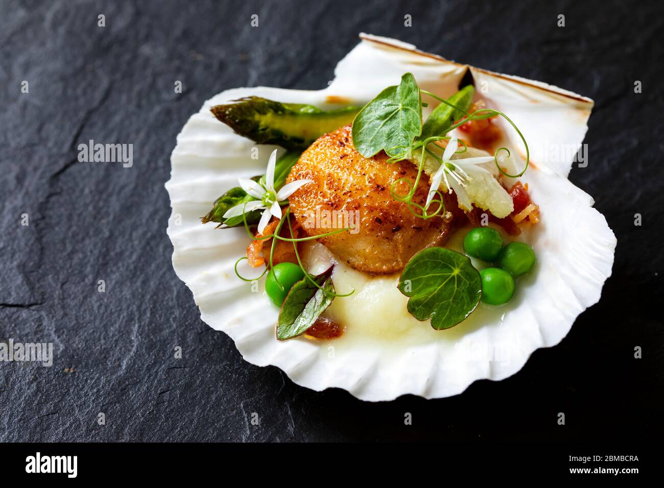 Scallops with cauliflower puree, pancetta, green peas and micro herbs Stock Photo