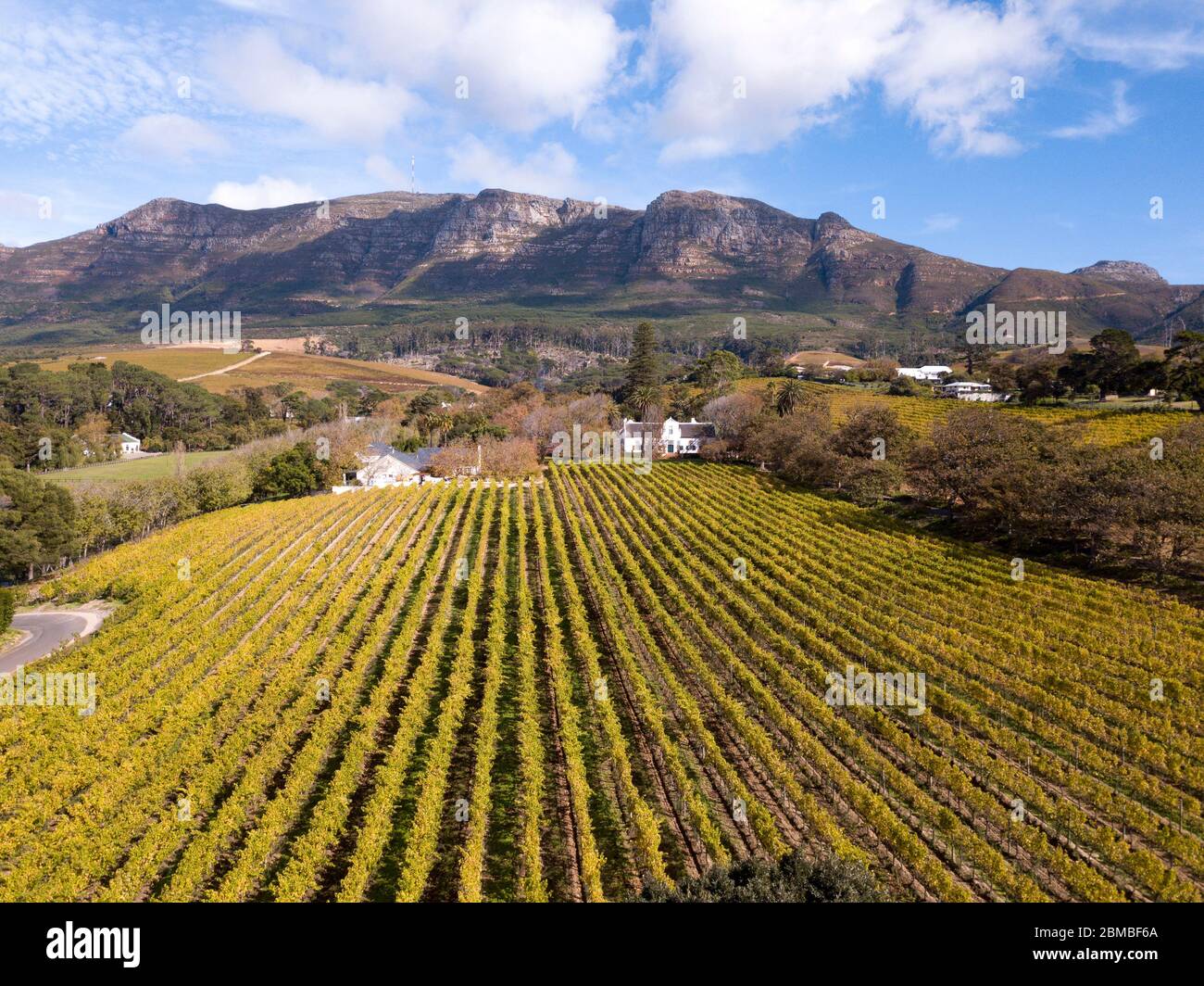 Aerial of a wine farm in Cape Town, South Africa Stock Photo Alamy