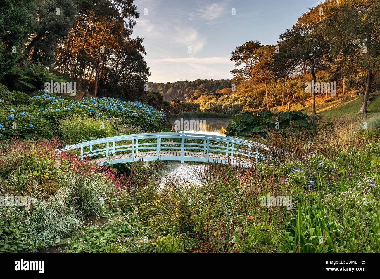 Trebah Garden; Bridge; Cornwall; UK Stock Photo