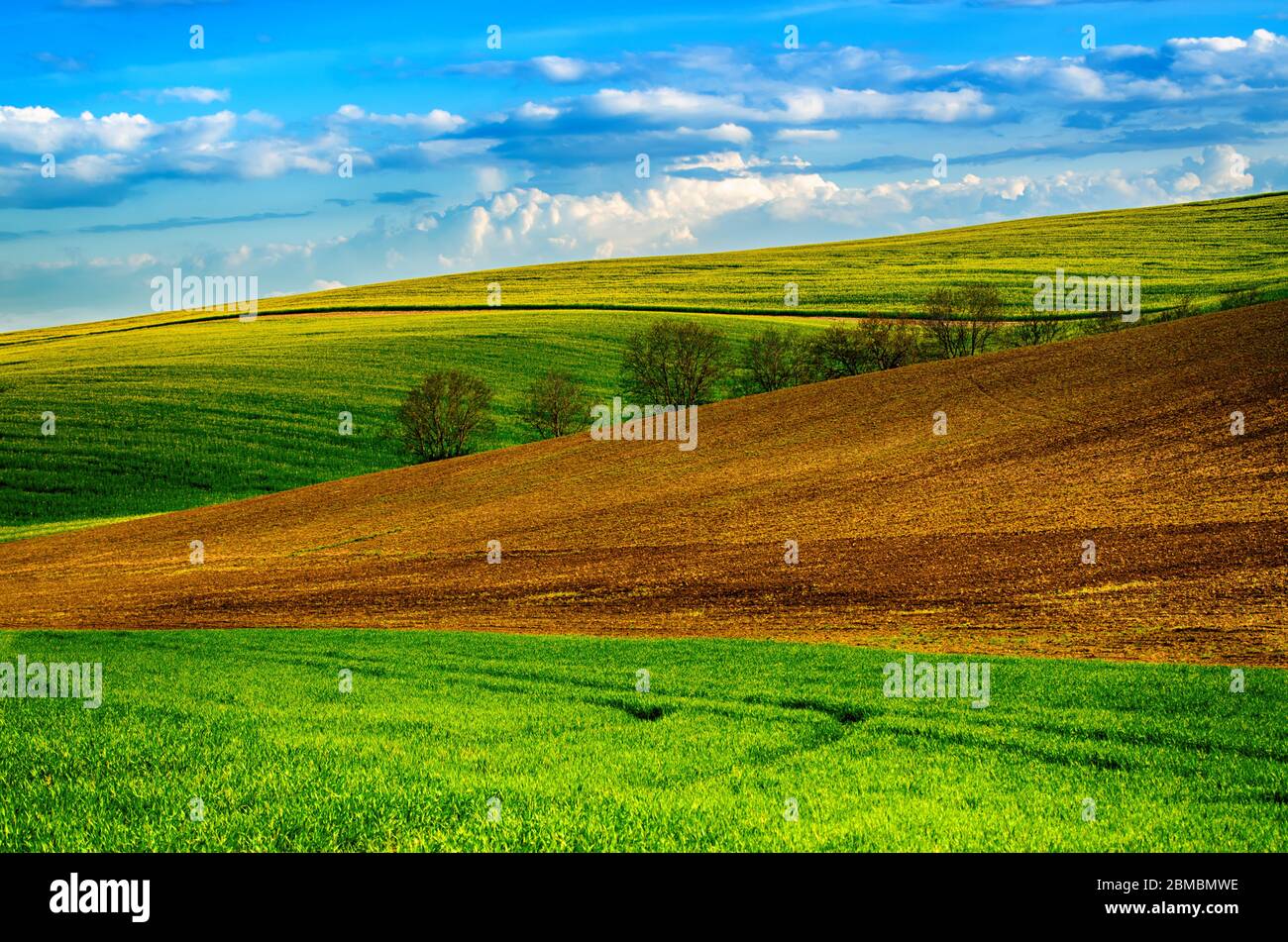 Rural landscape with fields, waves and blue sky with clouds, spring ...