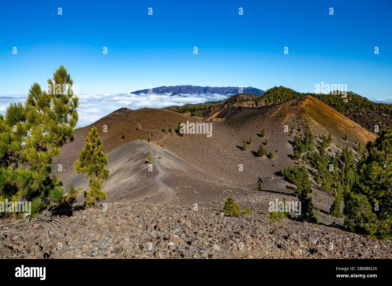 Volcanic landscape along the Ruta de los Volcanes, La Palma, Canary 