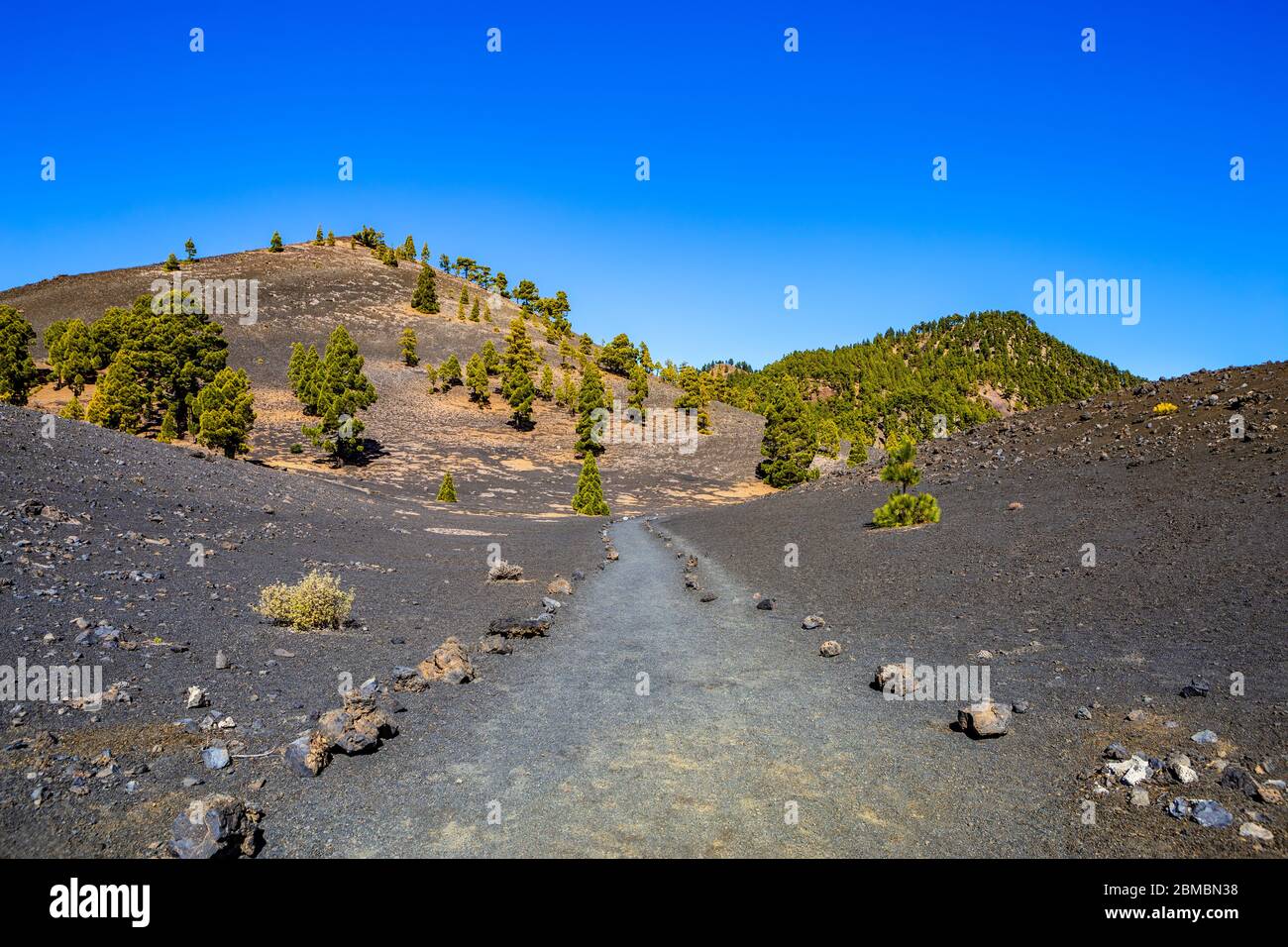 Volcanic landscape along the Ruta de los Volcanes, La Palma, Canary 