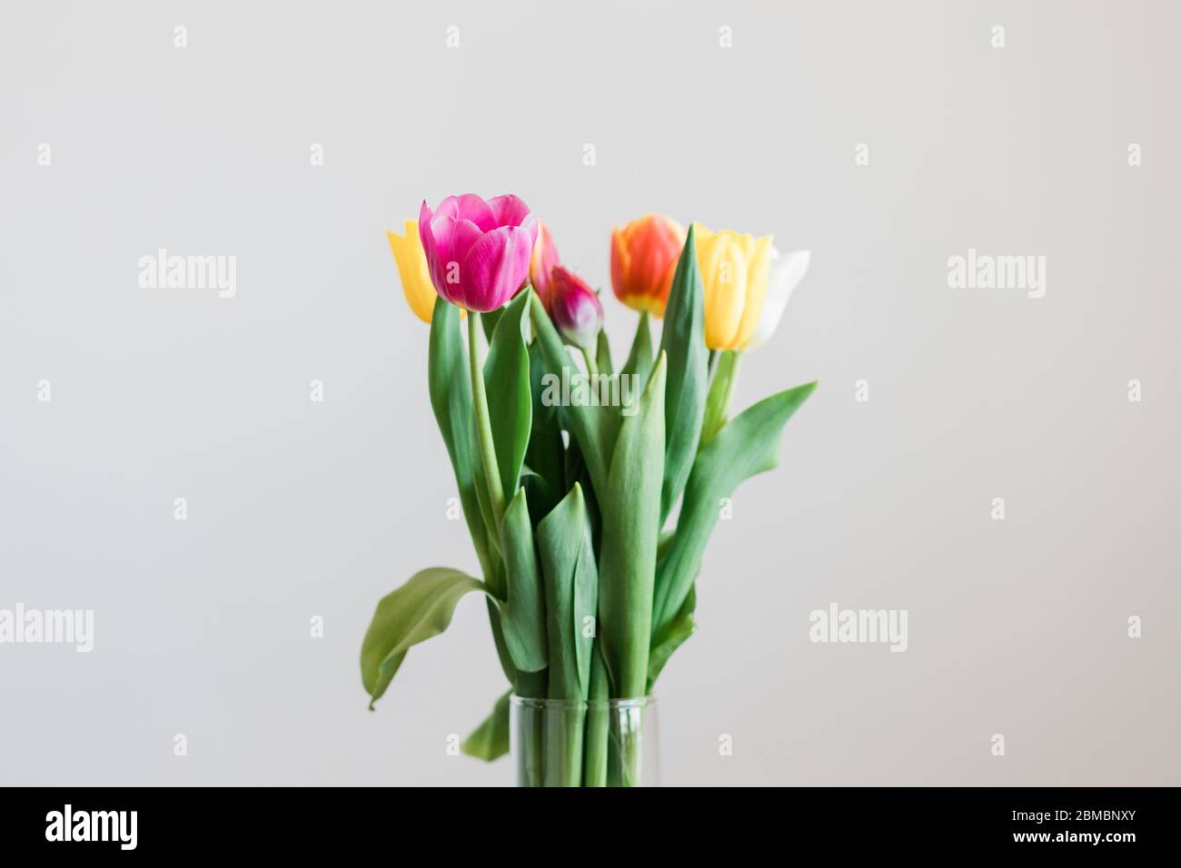 Beautiful multicolored tulips in a vase on white background Stock Photo