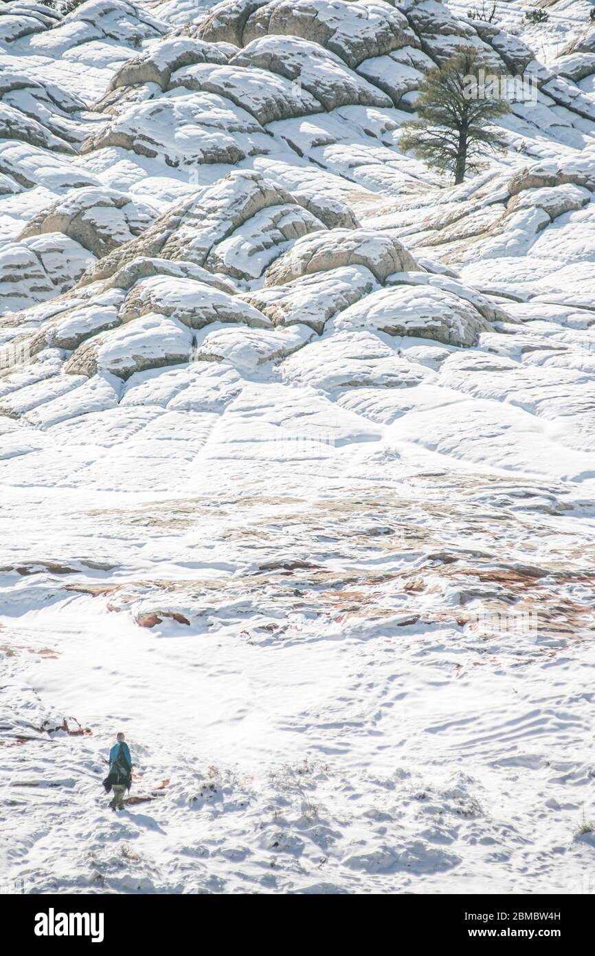 Lone tree and solo hiker at White Pocket AZ in the winter Stock Photo