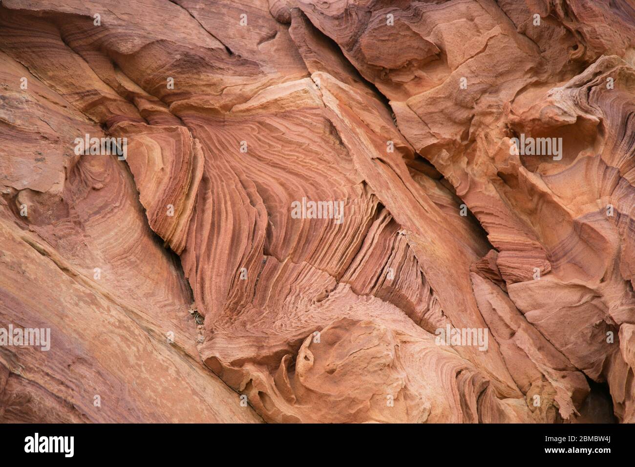 Fantastical sandstone layers in Coyote Buttes, Vermillion Cliffs Stock Photo