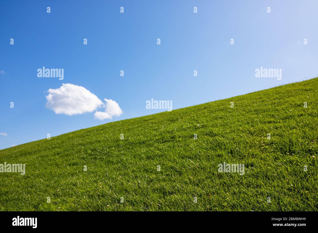 Meadow and cloud scene like windows xp wallpaper Stock Photo