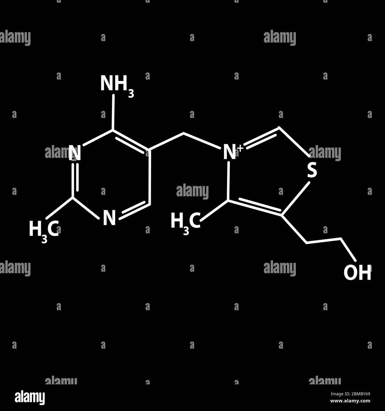 Vitamin B1. Thiamine Molecular chemical formula. Infographics. Vector