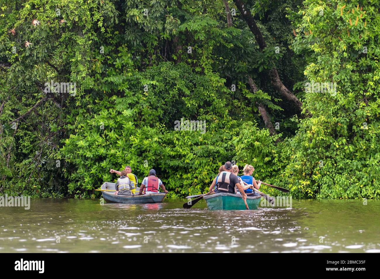Tourists with rowboat exploring the Rio Tortuguero forest. Ecotourism concept. Costa Rica nature and ecotourism. Stock Photo