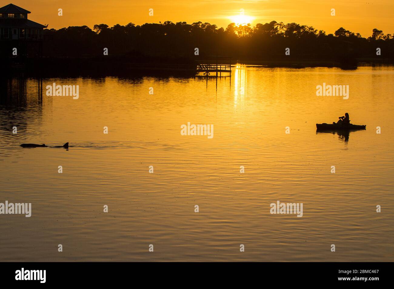 Kayaking at sunset with a bottle nosed dolphin Stock Photo
