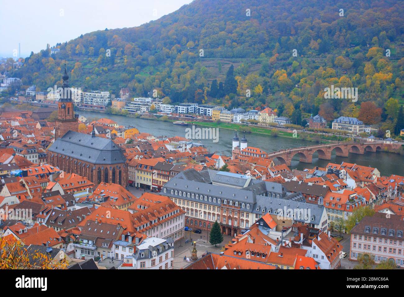 Heidelberg old city general view. Hessen. Germany Stock Photo