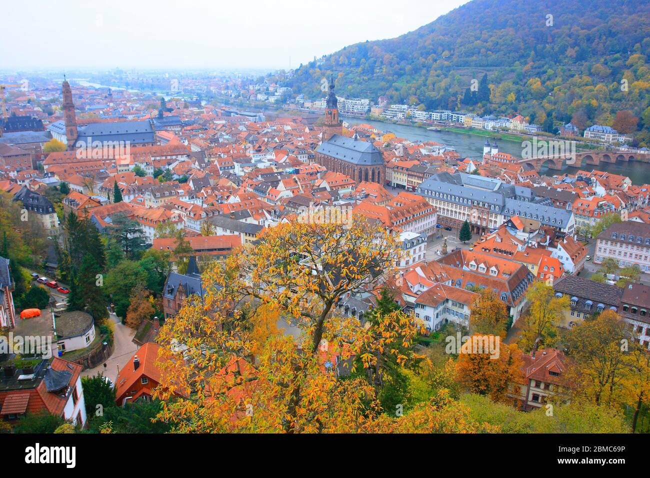 Heidelberg old city general view. Hessen. Germany Stock Photo