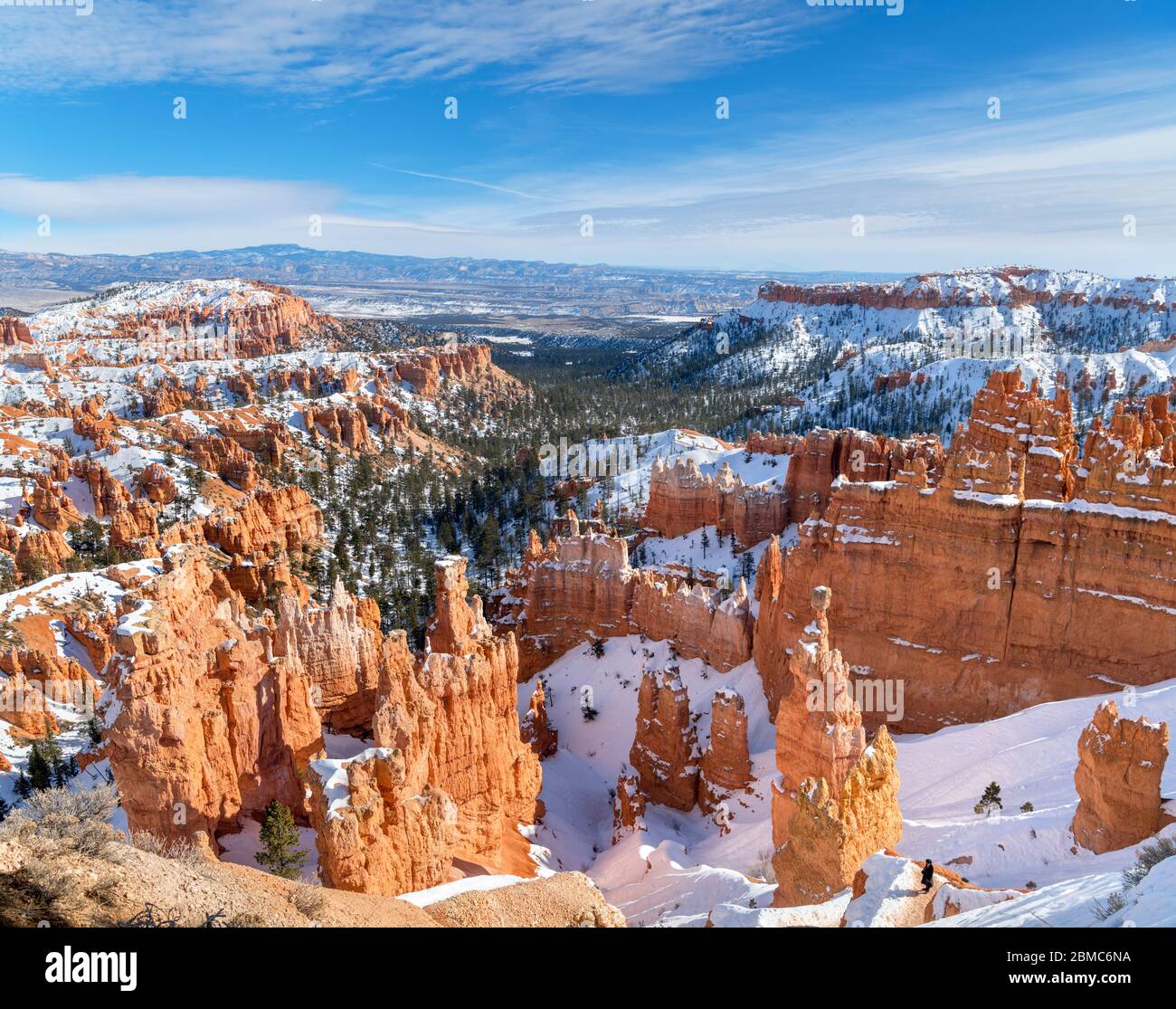 Bryce Amphitheater from the Rim Trail at Sunset Point, Bryce Canyon National Park, Utah, USA Stock Photo