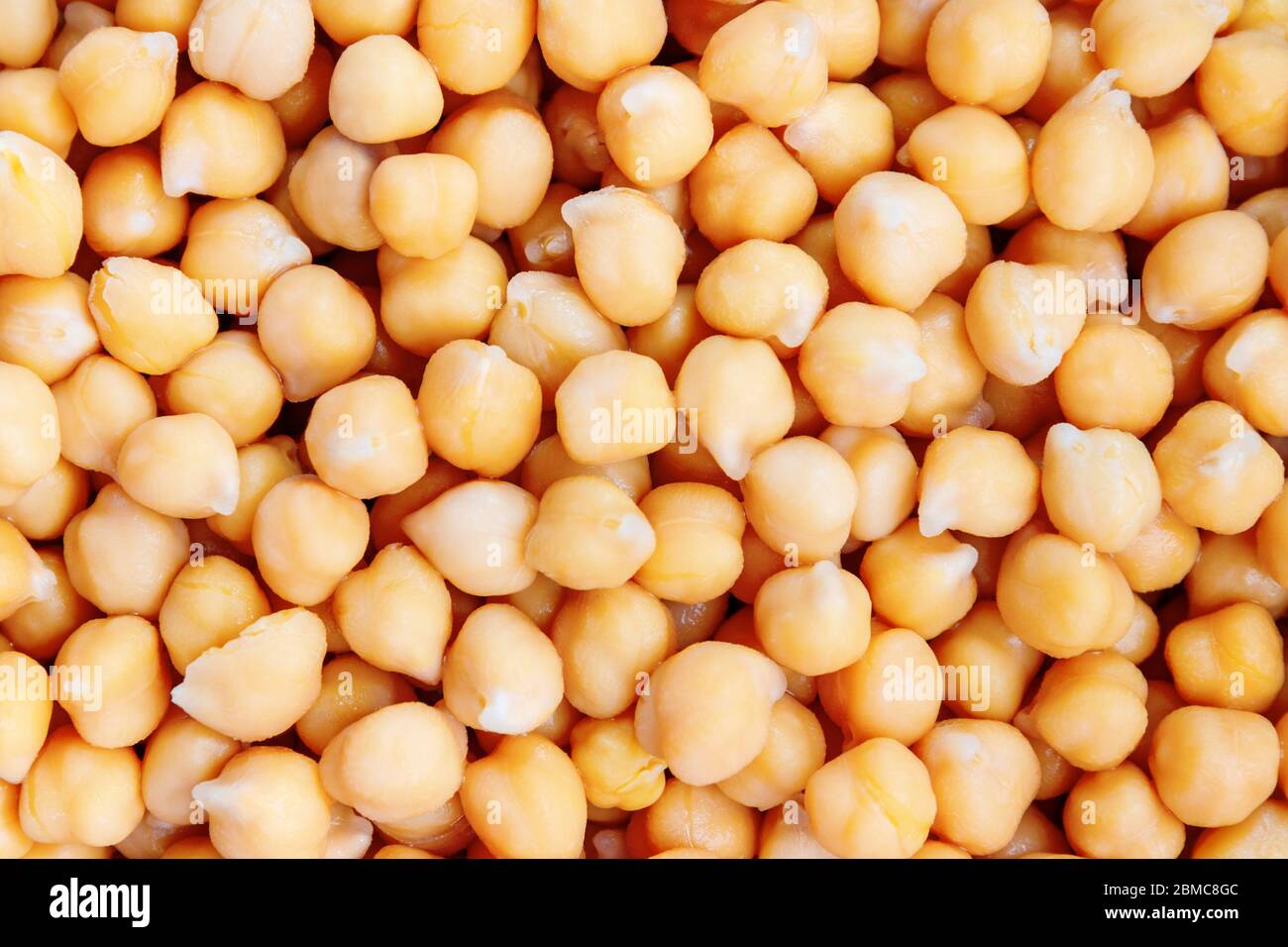 Soaked chickpeas. Chickpeas are hign in proteins and a common ingredient hummus, chana masala and falafel. Stock Photo