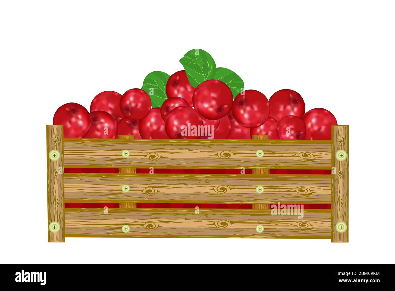 Lingonberry in box isolated on white background. Crate of juicy lingonberry. Eco farm, market, transportation. Label, package, banner, icon. Vector Stock Vector