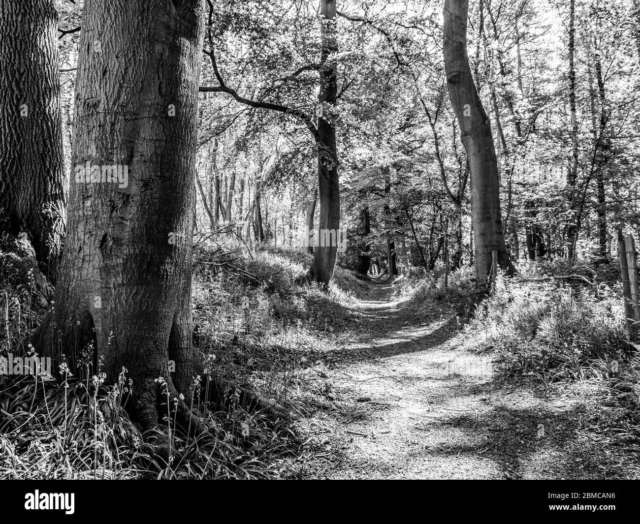 Ridgeway national trail oxfordshire Black and White Stock Photos & Images Alamy