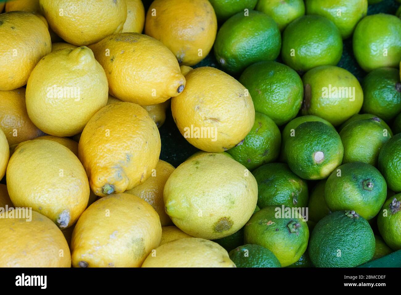 Imperfect organic lemons and limes Stock Photo