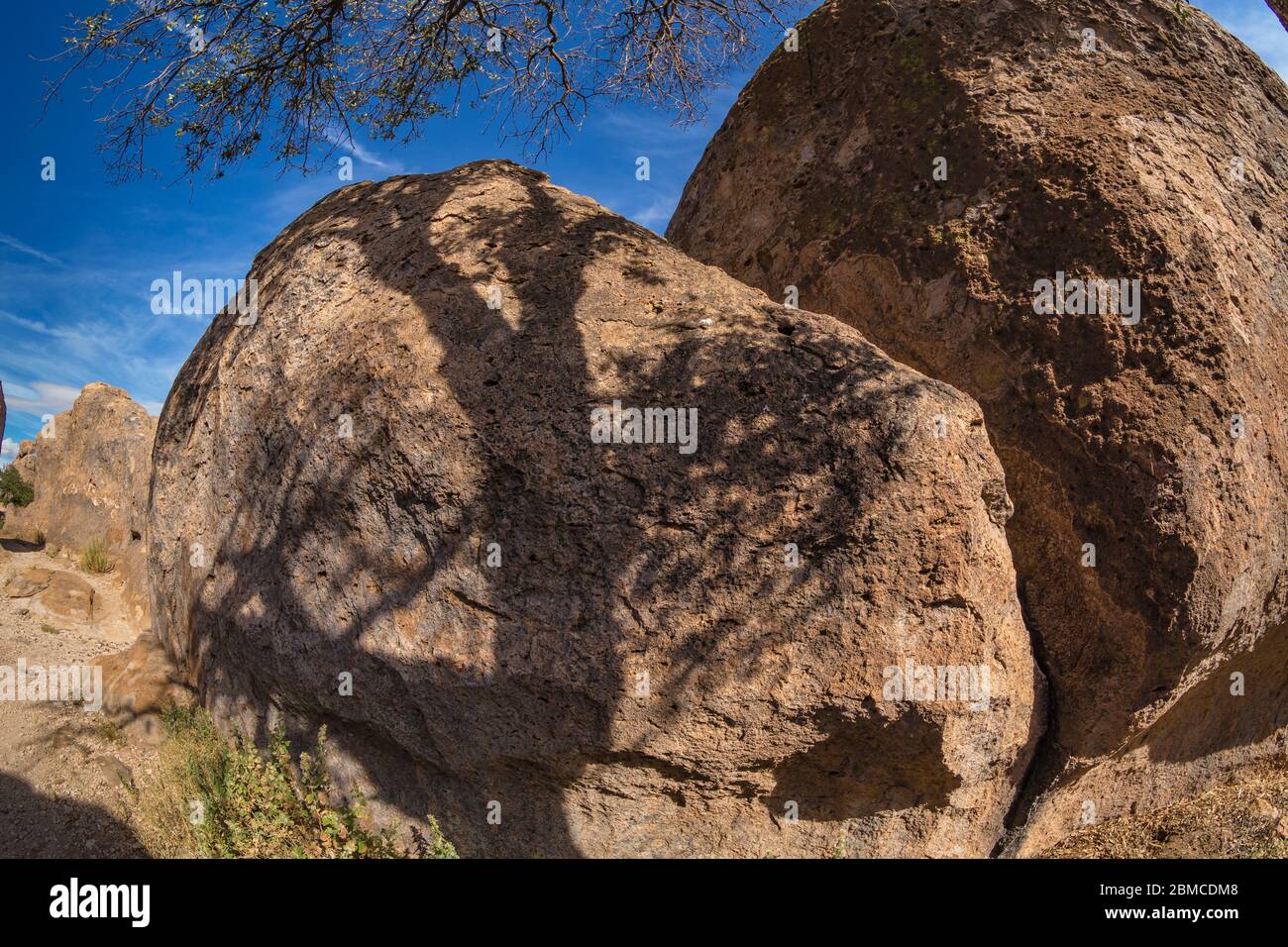 Silver City Rocks Oak tree limb and shadows on the volcanic rock formations of City of ...
