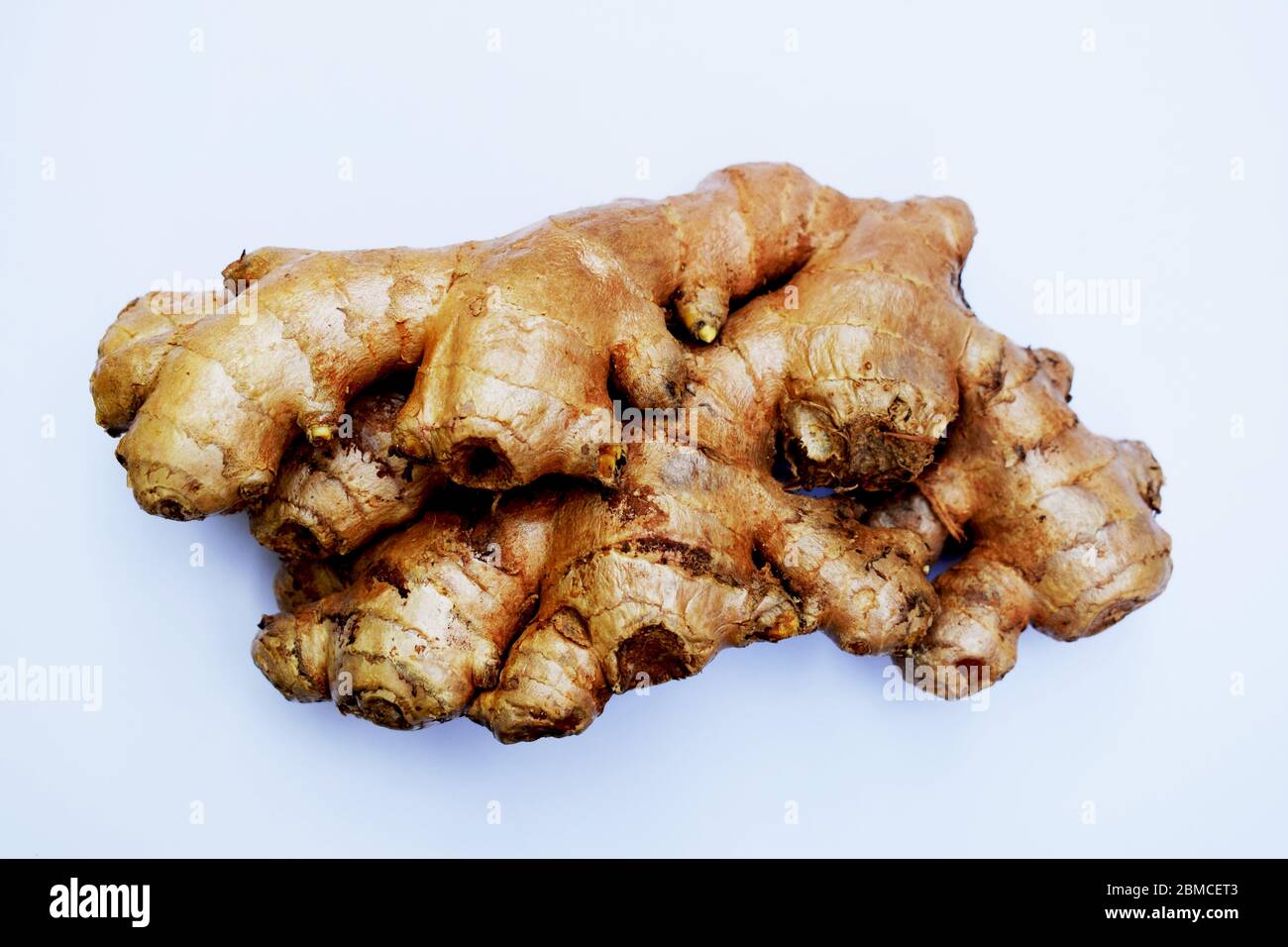 Large huge big Fresh ginger root rhizome sprouting, Indian southeast