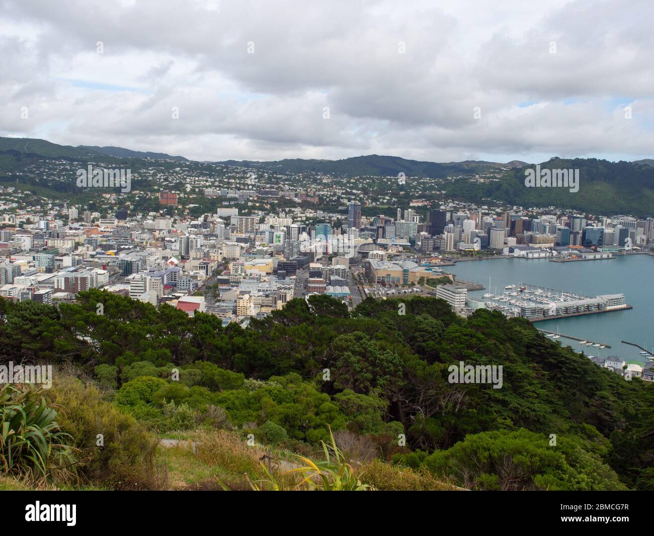 Wellington City From Mt Victoria Lookout Stock Photo - Alamy