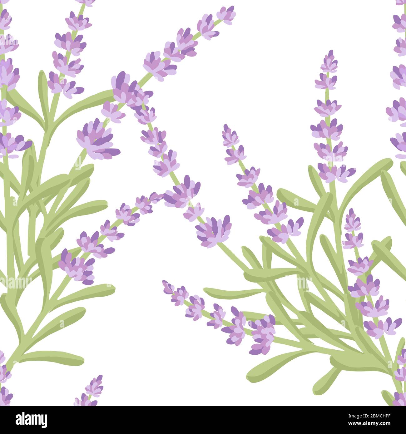 Seamless pattern with lavender flowers summer herbal natural bouquet ...
