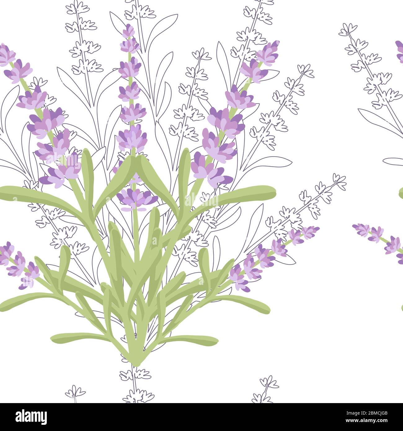 Seamless pattern with lavender flowers summer herbal natural bouquet ...