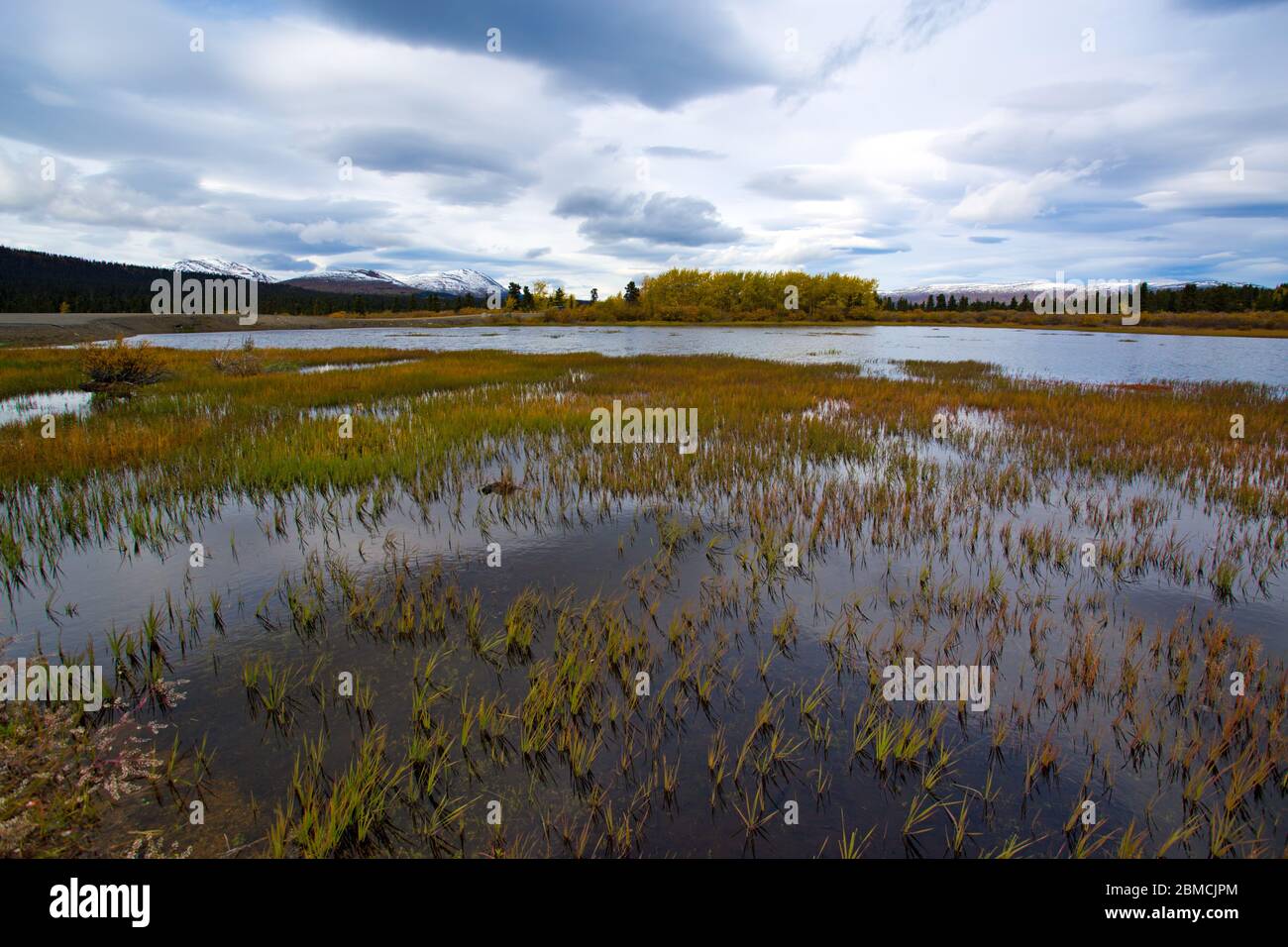  Fall / Autumn landscape at Fish Lake, located just outside of Illustration 
